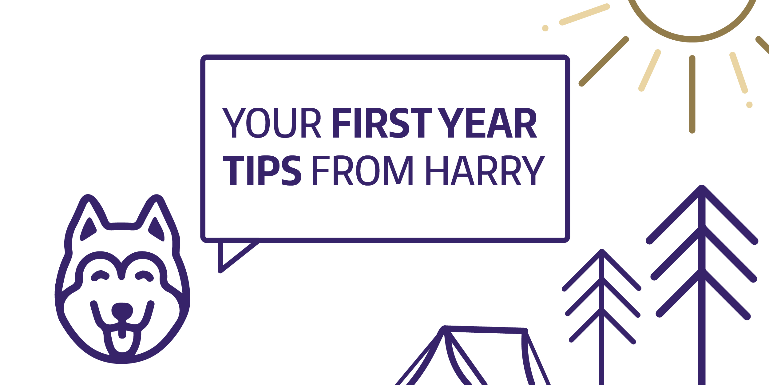 Your First Year Tips from Harry